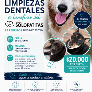Cupón Jornada Solidaria de Limpieza Dental 🐶🦷